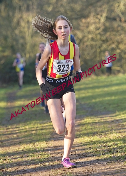 20230108ANXCA0308A.JPG