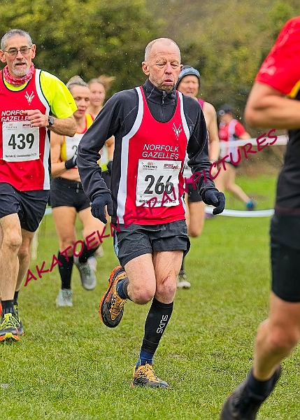 20250105ANXC29024B00041A.JPG