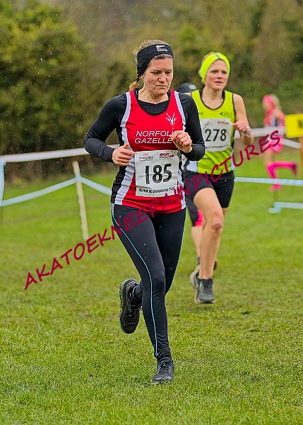 20250105ANXC29024B00063A.JPG