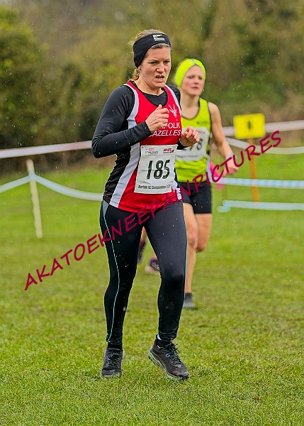20250105ANXC29024B00064A.JPG