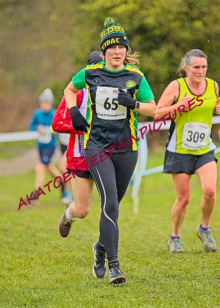 20250105ANXC29024B00072A.JPG