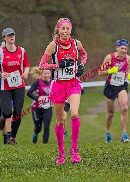 20250105ANXC29024B00074A.JPG