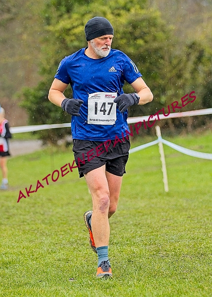 20250105ANXC29024B00099A.JPG