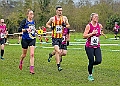 20250105ANXC29024B00031A