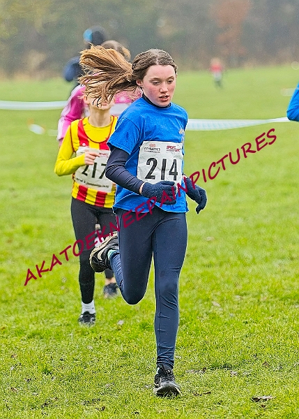 20250105ANXC2025A00050A.jpg