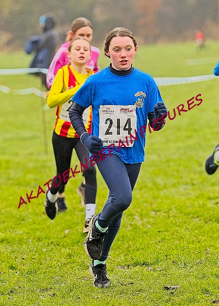 20250105ANXC2025A00051A.jpg