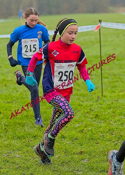 20250105ANXC2025A00061A.jpg