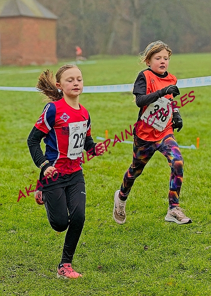20250105ANXC2025A00074A.jpg