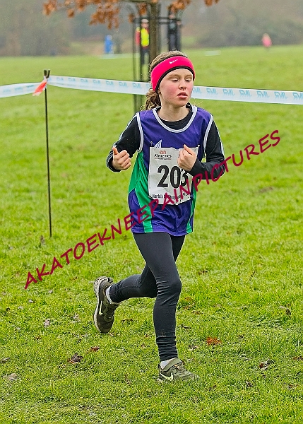 20250105ANXC2025A00080A.jpg