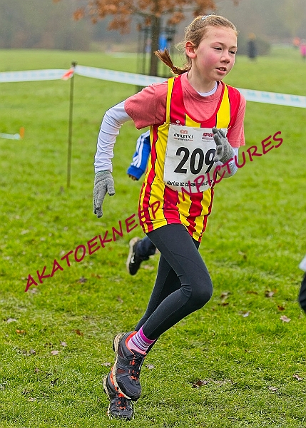 20250105ANXC2025A00101A.jpg