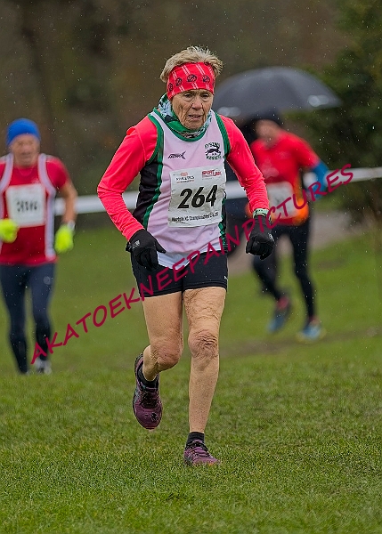 20250105ANXC29024B00109A.JPG