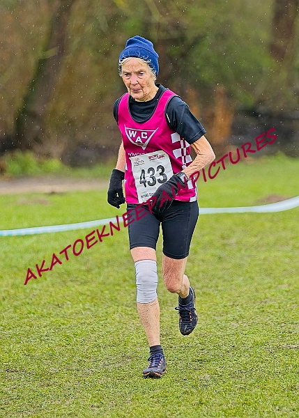 20250105ANXC29024B00128A.JPG