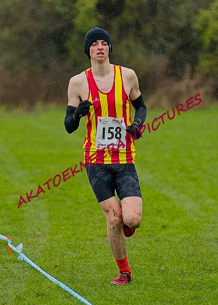20250105ANXC29024B00185A.JPG