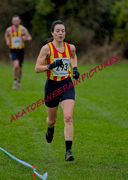 20250105ANXC29024B00208A.JPG