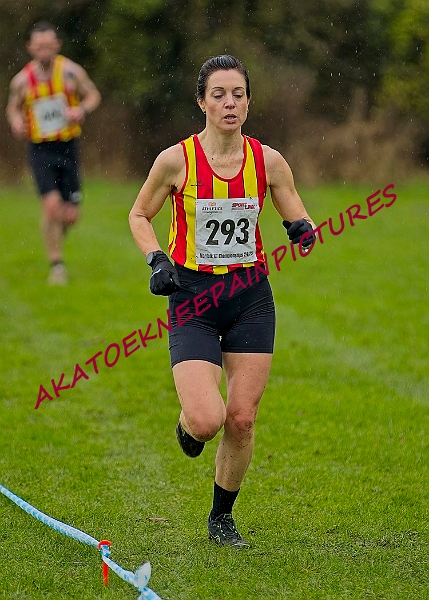 20250105ANXC29024B00209A.JPG
