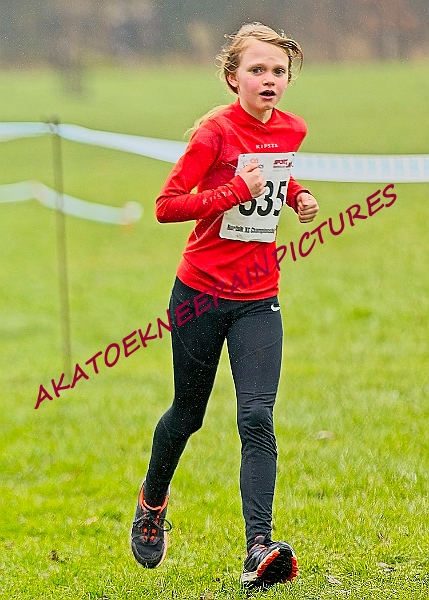 20250105ANXC2025A00107A.jpg