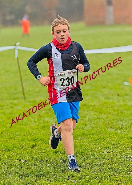 20250105ANXC2025A00119A.jpg