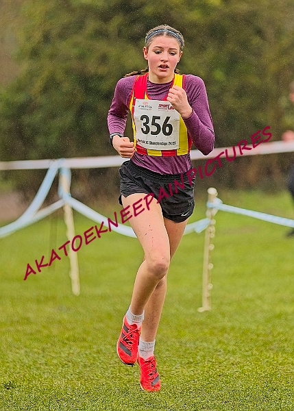 20250105ANXC2025A00141A.jpg