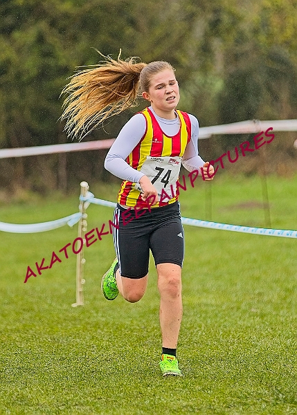 20250105ANXC2025A00147A.jpg