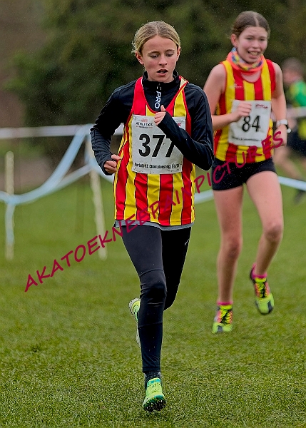 20250105ANXC2025A00150A.jpg