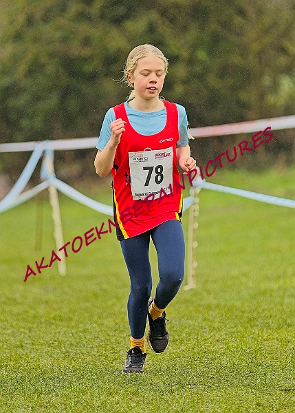 20250105ANXC2025A00183A.jpg