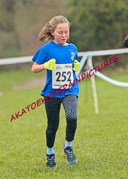 20250105ANXC2025A00187A.jpg