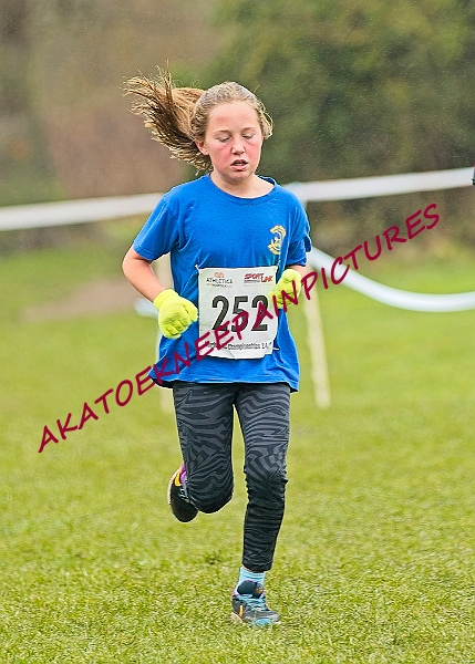 20250105ANXC2025A00188A.jpg