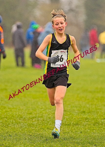 20250105ANXC2025A00200A.jpg