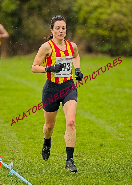 20250105ANXC29024B00210A.JPG