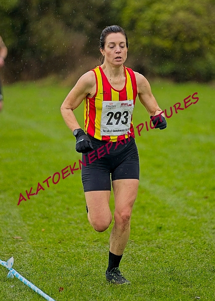 20250105ANXC29024B00211A.JPG