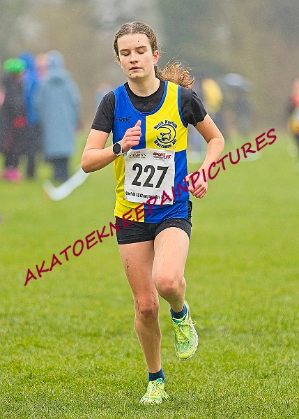 20250105ANXC2025A00208A.jpg