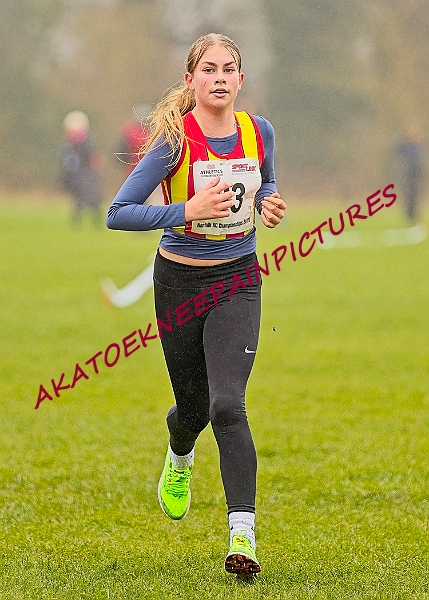 20250105ANXC2025A00235A.jpg