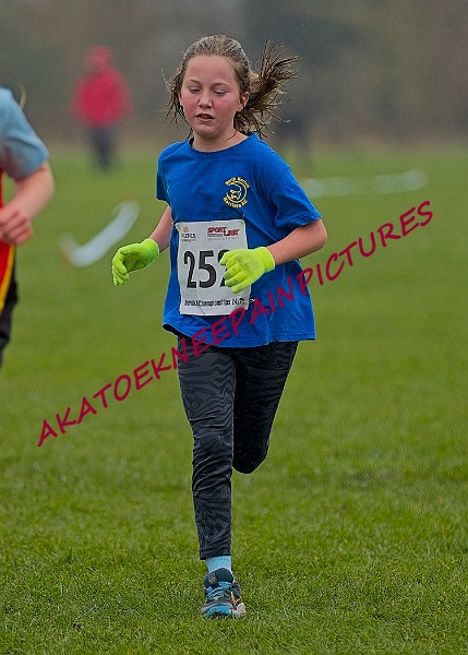 20250105ANXC2025A00243A.jpg