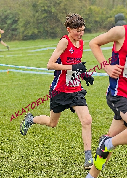 20250105ANXC2025A00254A.jpg