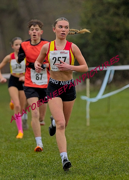 20250105ANXC2025A00264A.jpg