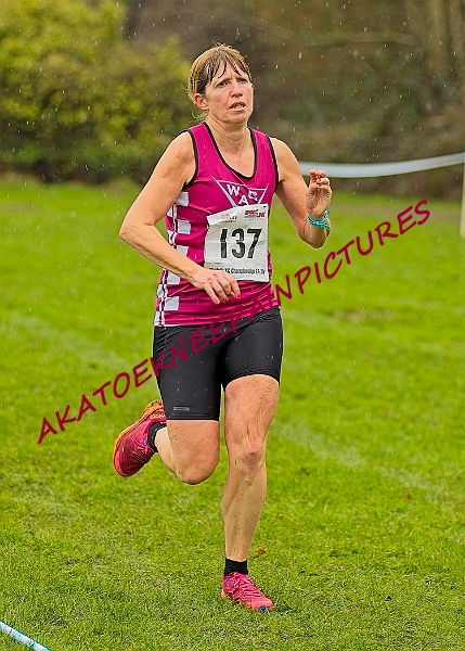 20250105ANXC29024B00317A.JPG