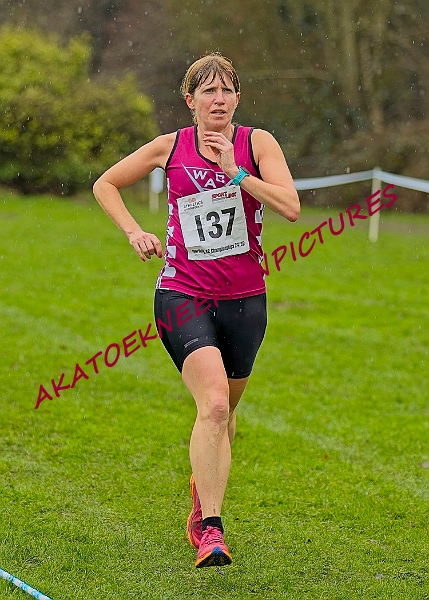 20250105ANXC29024B00318A.JPG
