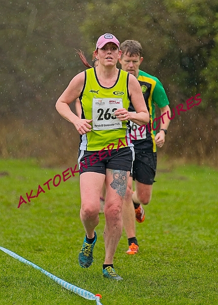 20250105ANXC29024B00333A.JPG