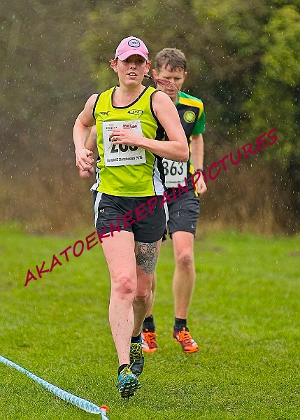 20250105ANXC29024B00334A.JPG