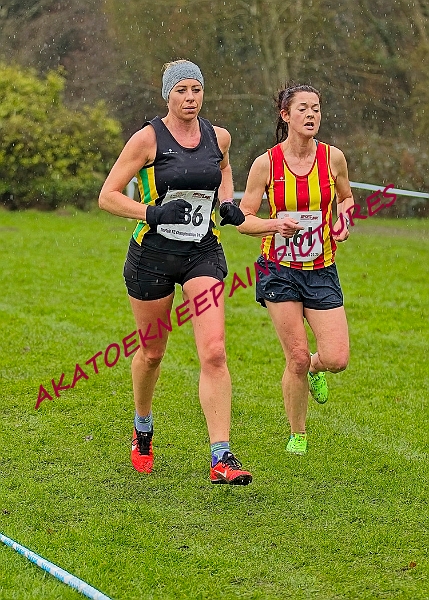 20250105ANXC29024B00351A.JPG