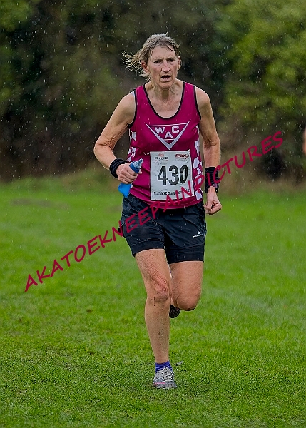 20250105ANXC29024B00358A.JPG