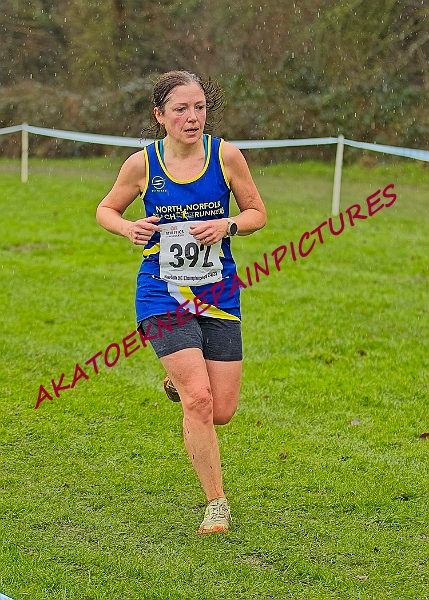 20250105ANXC29024B00361A.JPG