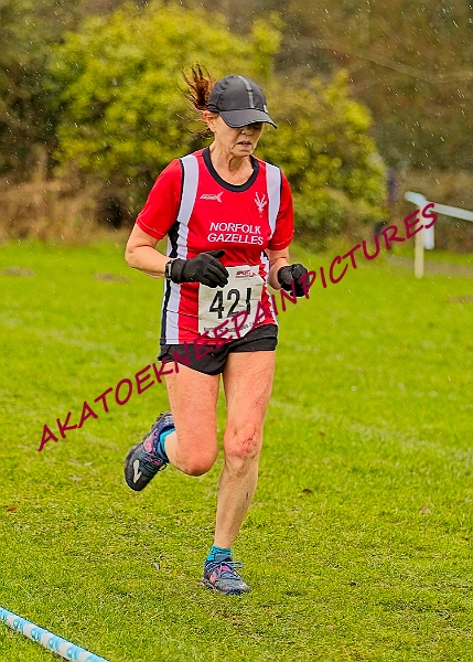 20250105ANXC29024B00372A.JPG