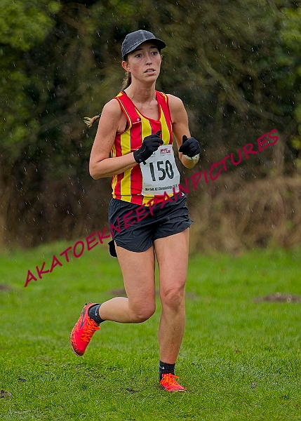 20250105ANXC29024B00393A.JPG