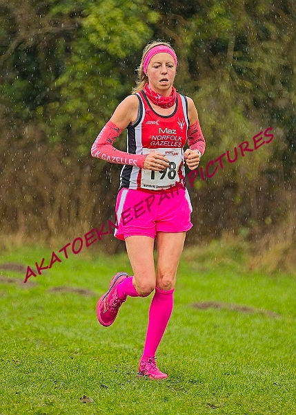 20250105ANXC29024B00397A.JPG