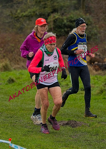 20250105ANXC29024B00408A.JPG