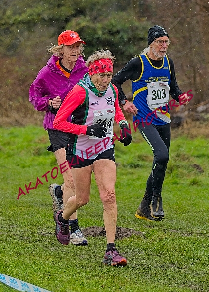 20250105ANXC29024B00409A.JPG