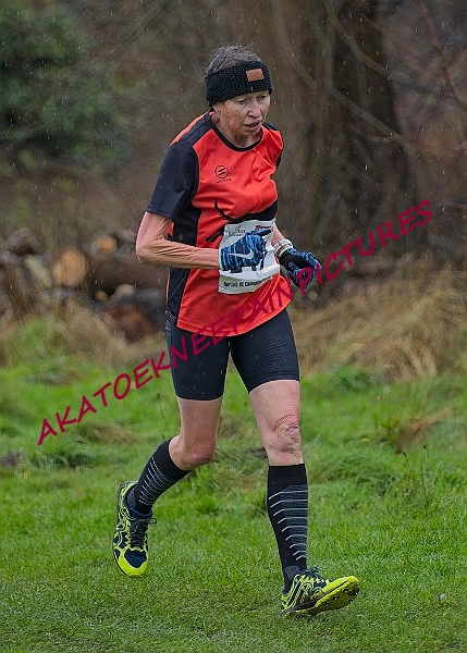 20250105ANXC29024B00410A.JPG
