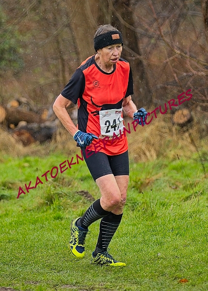 20250105ANXC29024B00411A.JPG