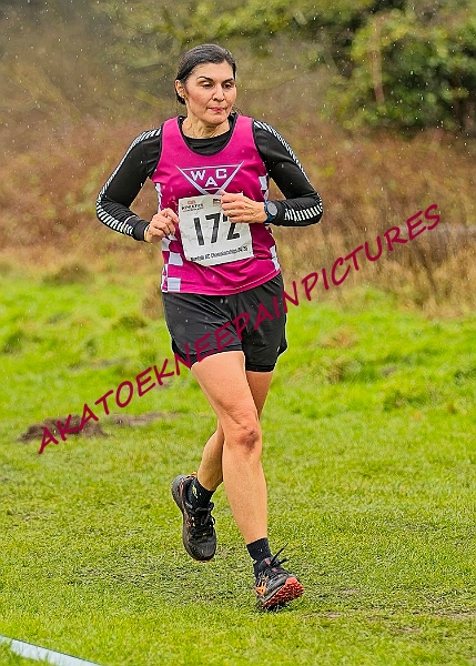 20250105ANXC29024B00412A.JPG